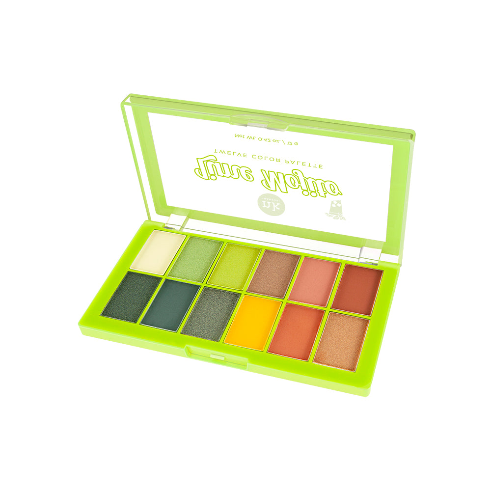 12 Palette Eyeshadow Set