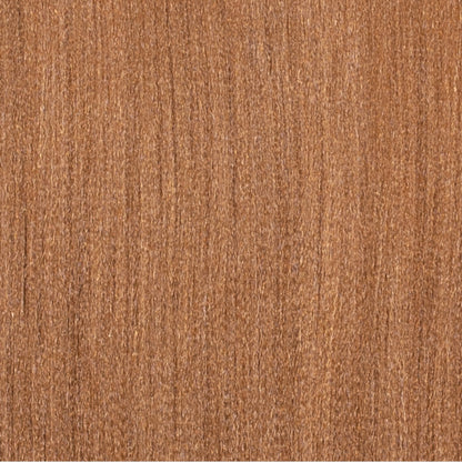 SYN. TEQUILA TWIST 12"