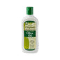 AB Ultimate Organics Extra Virgin Olive Oil Body Lotion