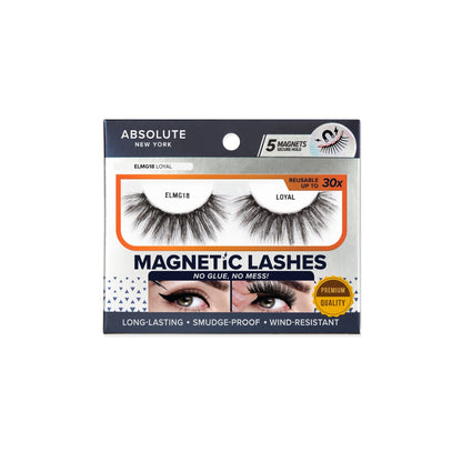 ABS Magnetic Lashes