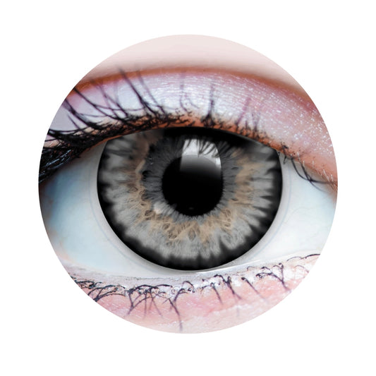 22507 Starlight Ash