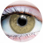 22654 Charm Chestnut