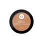 Perfection Pressed Powder