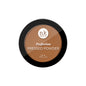 Perfection Pressed Powder
