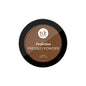 Perfection Pressed Powder