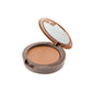 NK Mineral Pro Concealer