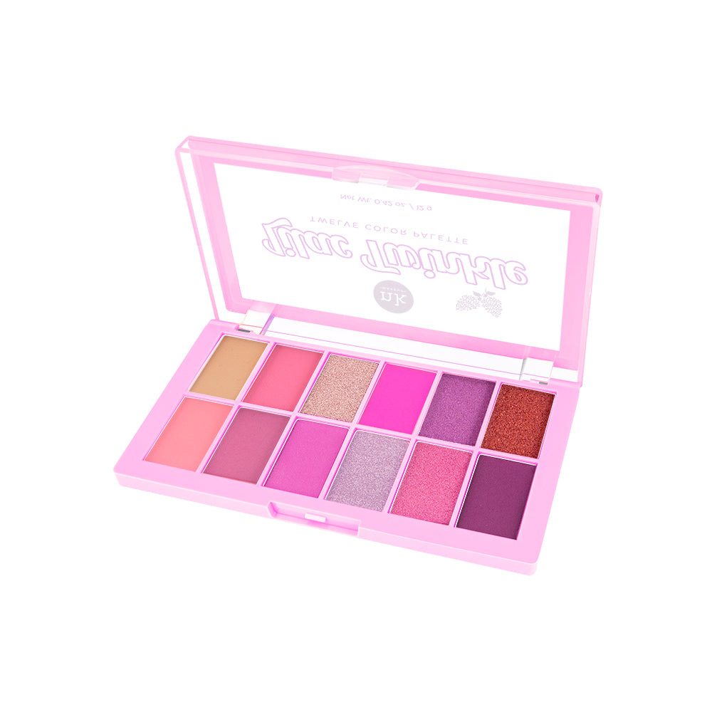 12 Palette Eyeshadow Set