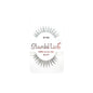 Stardel Eyelashes