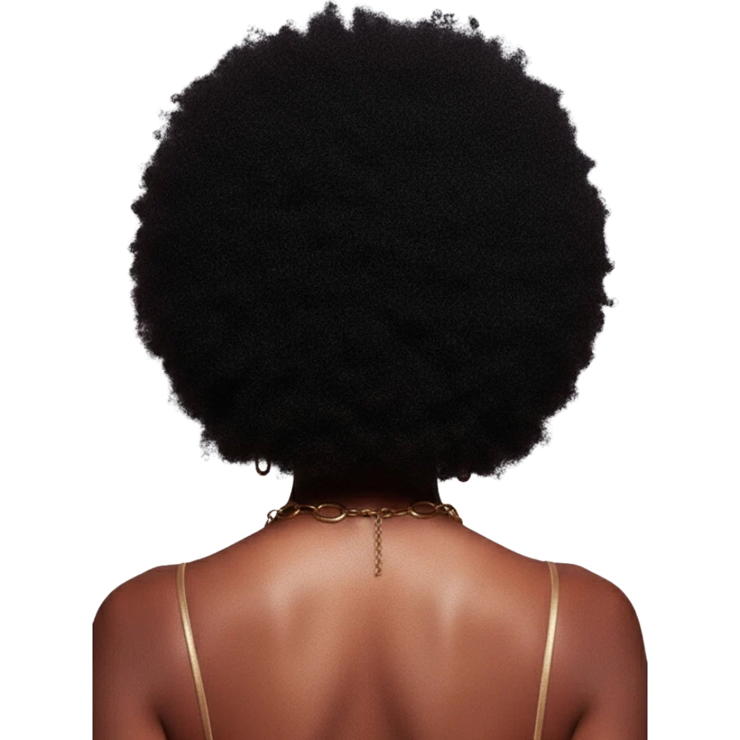 EVE HAIR Afro Wigs - FH-WG70M