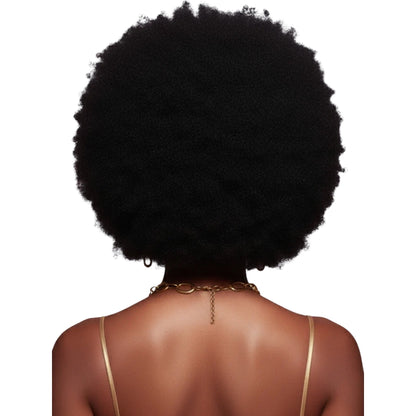 EVE HAIR Afro Wigs - FH-WG70M