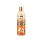 AP SM Detangling Shampoo 12oz