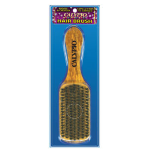 Long Handle Brush
