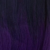 2T1B/PURPLE